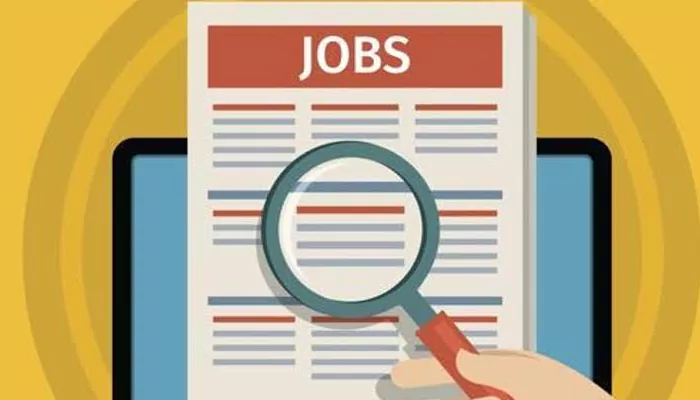 How Low Is Too Low?: IIT Graduate's Rejected Internship Offer Sparks Debate on Professional Worth